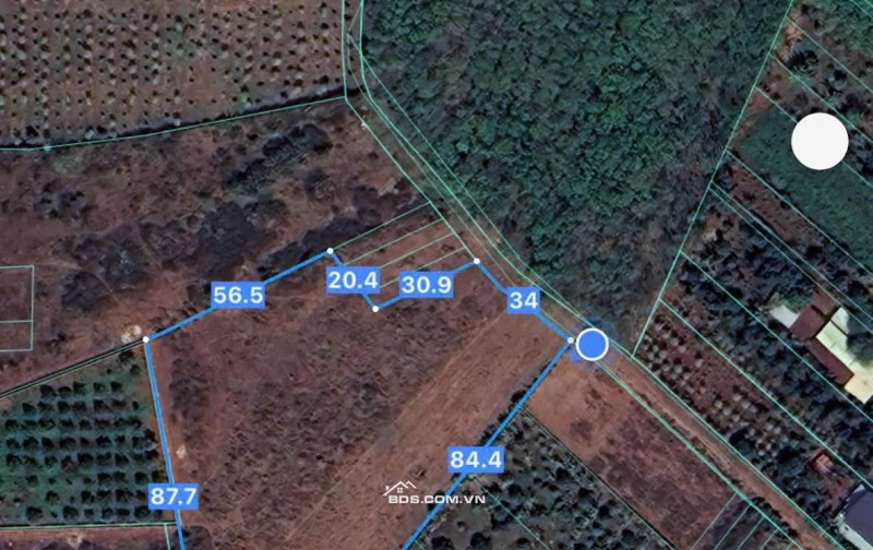 BÁN 7691.5 M² ĐẤT XÃ LONG TÂN, ĐẤT ĐỎ, GIÁ 2,7 TỶ/SÀO. LH:0938677702.