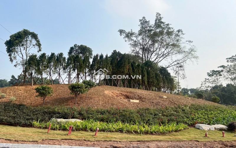 Phân phối shophouse dự án Utopia Phú Thọ (Hòa Bình cũ)