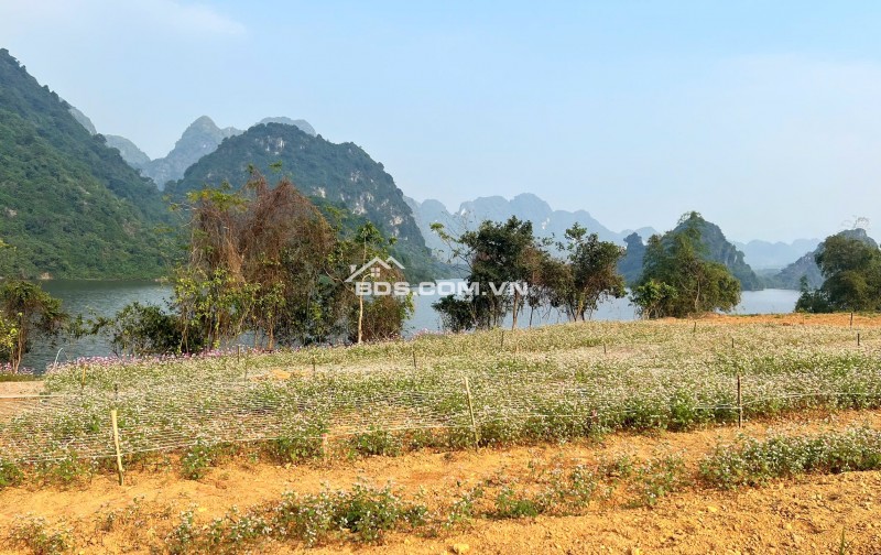 Phân phối Biệt Thự nghỉ dưỡng dự án Utopia Phú Thọ (Hòa Bình cũ)