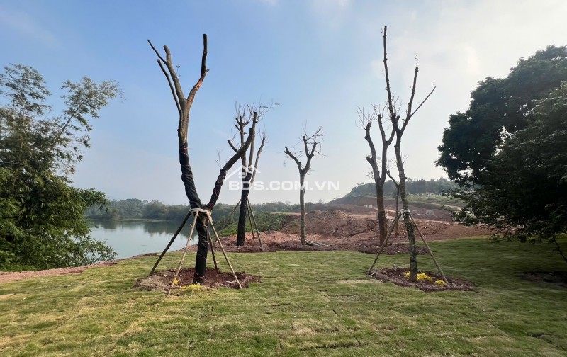 Phân phối Biệt Thự nghỉ dưỡng dự án Utopia Phú Thọ (Hòa Bình cũ)