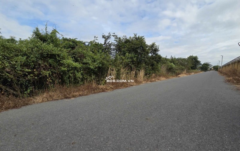 BÁN 1732 M² ĐẤT ĐƯỜNG PHẠM VĂN CỘI CỦ CHI. GIÁ 12TR/M2. LH:0906735462