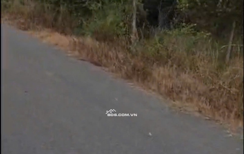 BÁN 1732 M² ĐẤT ĐƯỜNG PHẠM VĂN CỘI CỦ CHI. GIÁ 12TR/M2. LH:0906735462