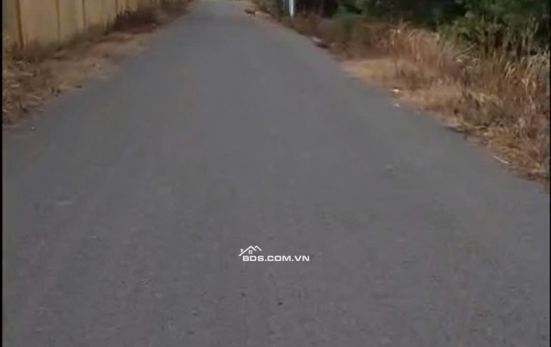 BÁN 1732 M² ĐẤT ĐƯỜNG PHẠM VĂN CỘI CỦ CHI. GIÁ 12TR/M2. LH:0906735462