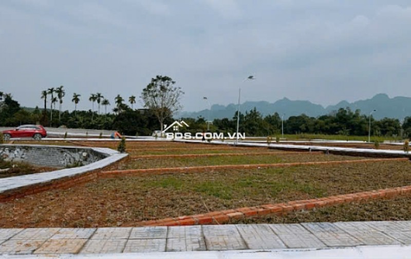 3XX TRIỆU BẠN MUỐN TIỀN ĐẺ RA TIỀN THÌ KHÔNG NÊN BỎ QUA BÀI VIẾT NÀY - SỞ HỮU SỔ HỒNG BĐS