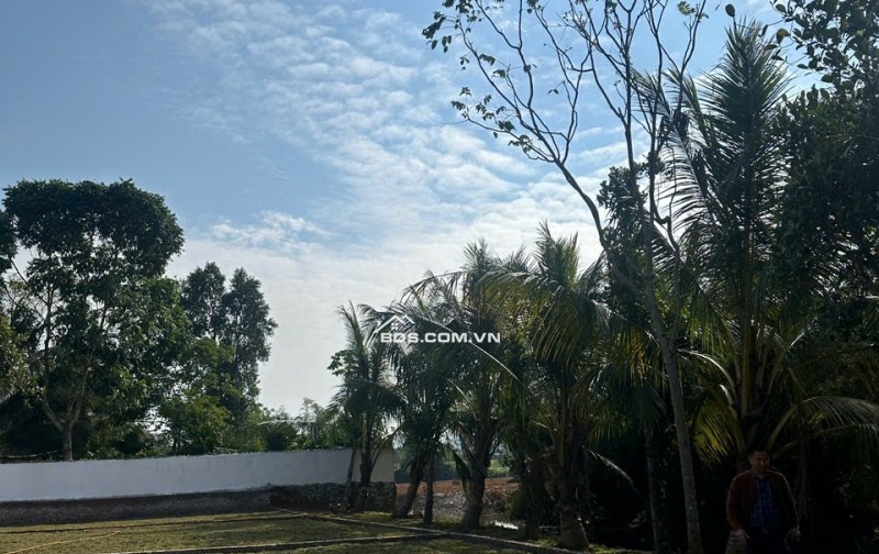  300tr Sở Hữu Đất Kim Bôi, Hoà Bình – Vị Trí Đẹp, Pháp Lý Chuẩn