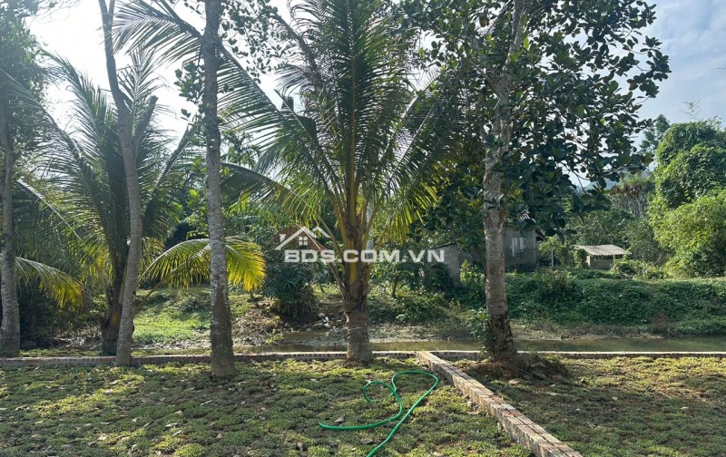  300tr Sở Hữu Đất Kim Bôi, Hoà Bình – Vị Trí Đẹp, Pháp Lý Chuẩn