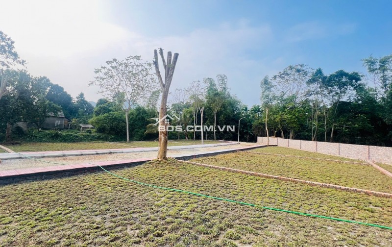  300tr Sở Hữu Đất Kim Bôi, Hoà Bình – Vị Trí Đẹp, Pháp Lý Chuẩn