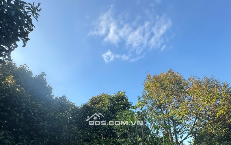  775 TRIỆU – ĐẤT FULL THỔ CƯ BÀU HÀM 2 - SỔ RIÊNG