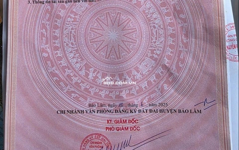 Tân Lạc, Bảo Lâm, 163,4m2(full thổ), 8,5tr/m2 có thương lượng