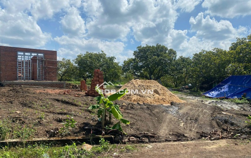 Chính chủ tôi bán đất ở Thanh Hoà diện tích 279m2 thổ cư giá 450tr