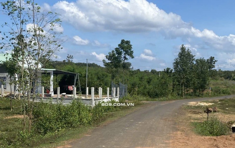 Chính chủ tôi bán đất ở Thanh Hoà diện tích 279m2 thổ cư giá 450tr