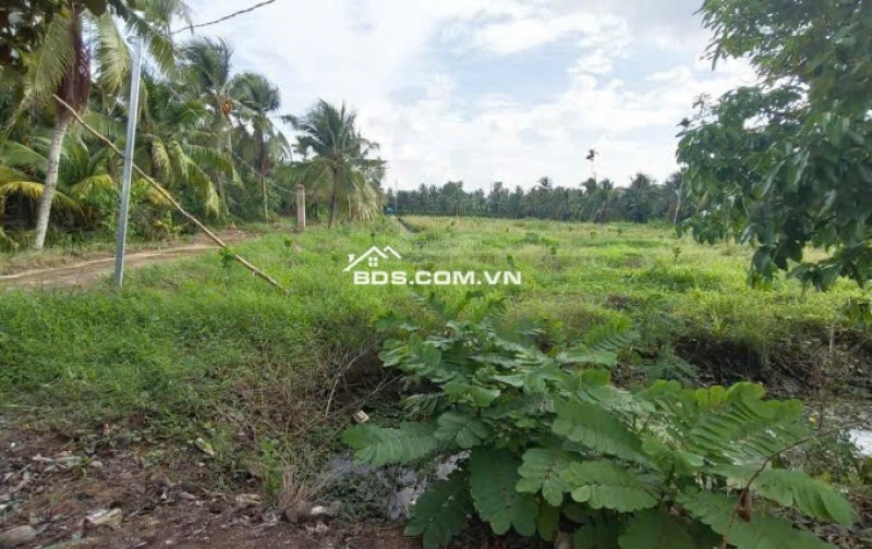 Chính chủ cần bán lô đất vườn tại xã Bình Thắng, huyện Bình Đại, tỉnh Bến Tre