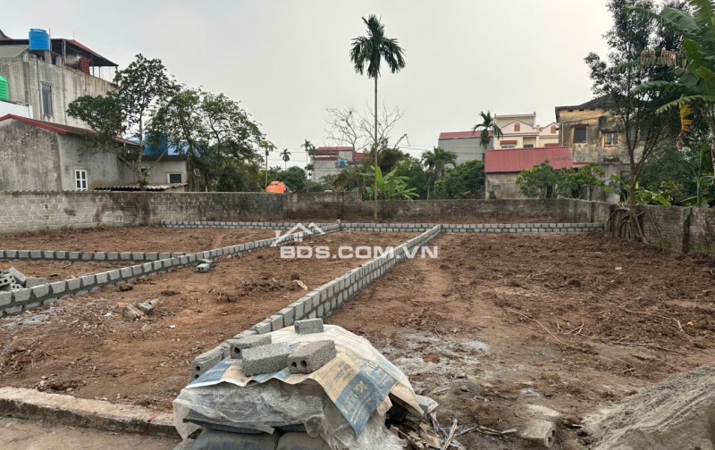 CHÍNH CHỦ GỬI 4 LÔ ĐẤT TẠI LIÊN PHƯƠNG TRUNG TÂM HÀNH CHÍNH CÔNG