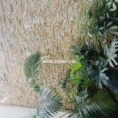 NHÀ ĐẸP KHU VỰC HAI BÀ TRƯNG CẦN BÁN , NHÀ ĐƯỢC THIẾT KẾ ĐẸP VÀ CHẮC CHẮN