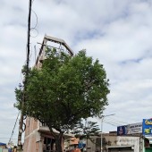 METRO SÀI GÒN THAM LƯƠNG ĐIỂM NHẤT ĐÔNG HƯNG THUẬN QUÂN 12
GIÁ HIẾM CHỈ 6,8TY SỞ HỮU 100M2