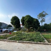 CƠ HỘI VÀNG: CHỦ CẦN TIỀN BÁN GẤP LÔ ĐẤT ĐẸP 103.8m² TRỤC CHÍNH TÂN XÃ - GIÁ CHỈ 3x TRIỆU/m²!