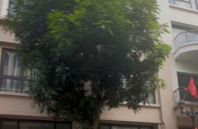 Bán liền kề 65m2 Vinhomes Ocean Park 2 Hưng Yên