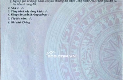 Bán 166,5m2 Đất Thổ Cư Chính Chủ Mặt Tiền Đường Nhựa Liên Xã Long Khê - Phước Vân, Cần Đước, Long An