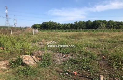  CHỈ 579 TRIỆU – 100M² THỔ CƯ TẠI GIA TÂN 2 – GẦN ĐỨC MẸ NÚI CÚI