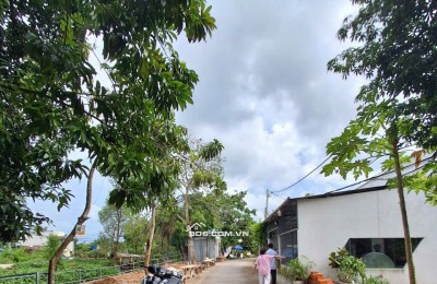 Bán 161,9m² Đất Chính Chủ Tại Khu Vực Bình Phó B, P.Long Tuyền, Q. Bình Thuỷ, TP. Cần Thơ. Giá Chỉ 2 tỷ 650