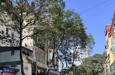 B.Á.N NHÀ MẶT PHỐ ĐỘI CẤN SIÊU HIẾM - 5 TẦNG NHÀ ĐẸP Ở LUÔN - MẶT PHỐ VIP HỢP KINH DOANH