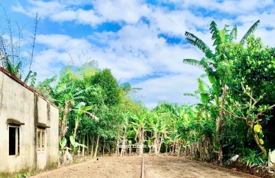  CHỈ VỚI 6XX – SỞ HỮU NGAY 150M² TRUNG TÂM ĐIỆN BÀN TÂY 