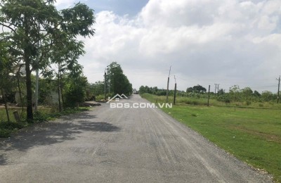 Bán đất nền đã lên thổ cư