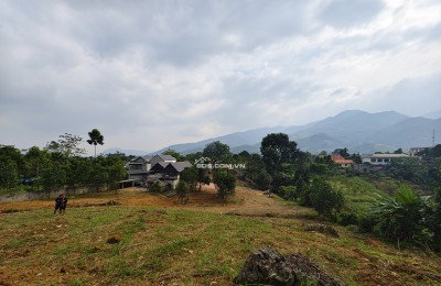 Ngay ngã ba Bãi Chạo, cách mặt đường ql 12B chỉ 150m, mảnh đất gần 3.000m2 lưng tựa sơn, mặt hướng phố