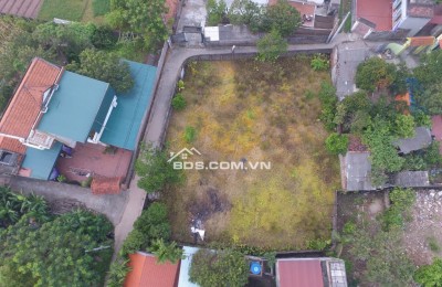 Chính Chủ Bán 768m2 Tại Xóm 1, Động Xá, Xã Lương Bằng, Huyện Kim Động, Tỉnh Hưng Yên.