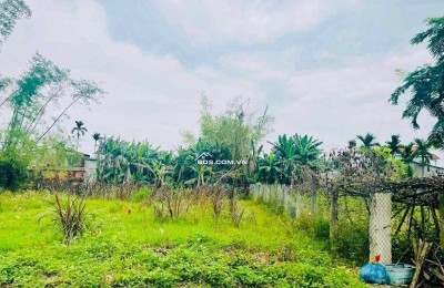  CHỈ 7XX – SỞ HỮU NGAY LÔ ĐẸP GẦN 190M² SÁT CHỢ LẠC THÀNH