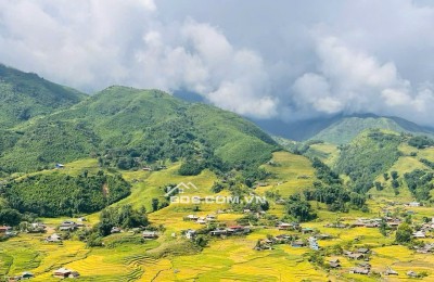 BÁN MẢNH ĐẤT CHÍNH CHỦ VIEW THUNG LŨNG MƯỜNG HOA - SAPA - TỈNH LÀO CAI 9.9 TỶ