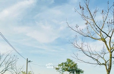 Làng  Omm 2 view đẹp mê mệt, Khách booking nhận  ngay 2 chỉ vàng.