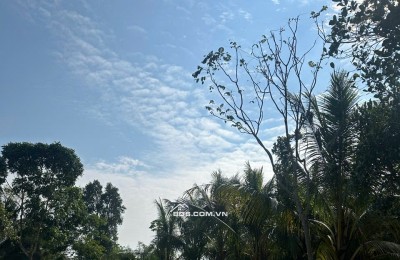  300tr Sở Hữu Đất Kim Bôi, Hoà Bình – Vị Trí Đẹp, Pháp Lý Chuẩn