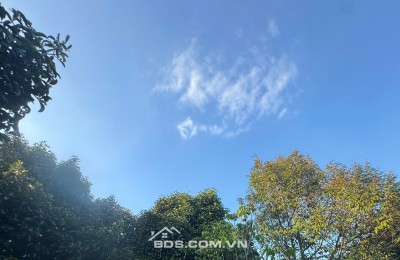  775 TRIỆU – ĐẤT FULL THỔ CƯ BÀU HÀM 2 - SỔ RIÊNG