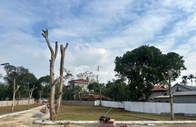 BẮT ĐÚNG NHỊP MUA – NẮM TRỌN DƯ ĐỊA TĂNG GIÁ - CƠ HỘI ĐẦU TƯ CHỈ BẮT ĐẦU TỪ 300 TRIỆU