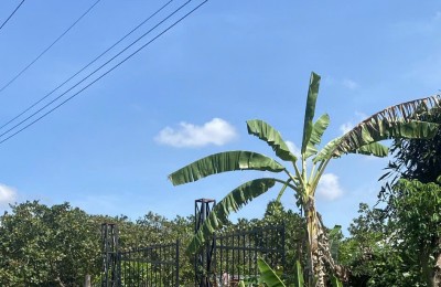 Chính chủ tôi bán đất ở Thanh Hoà diện tích 279m2 thổ cư giá 450tr