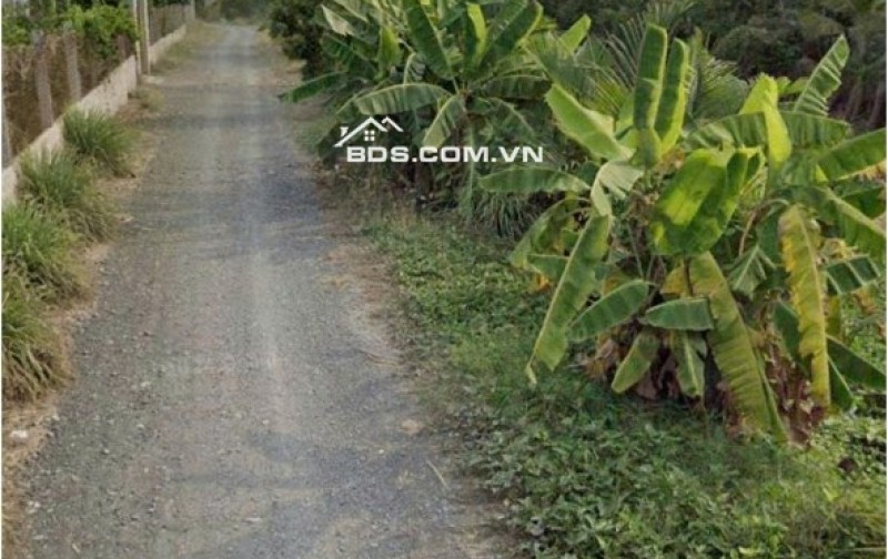 Chính Chủ Bán Gấp 1,554m2 Đất Mặt Tiền QL1A, xã Nhị Thành, huyện Thủ Thừa, Long An