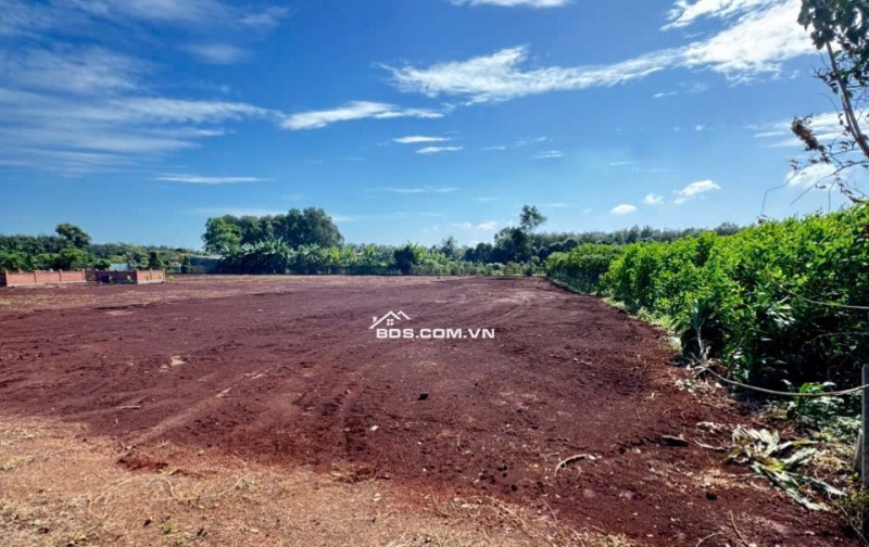 CẦN BÁN LÔ ĐẤT LONG PHƯỚC BRVT – nay thuộc P. TAM LONG, TP.HCM