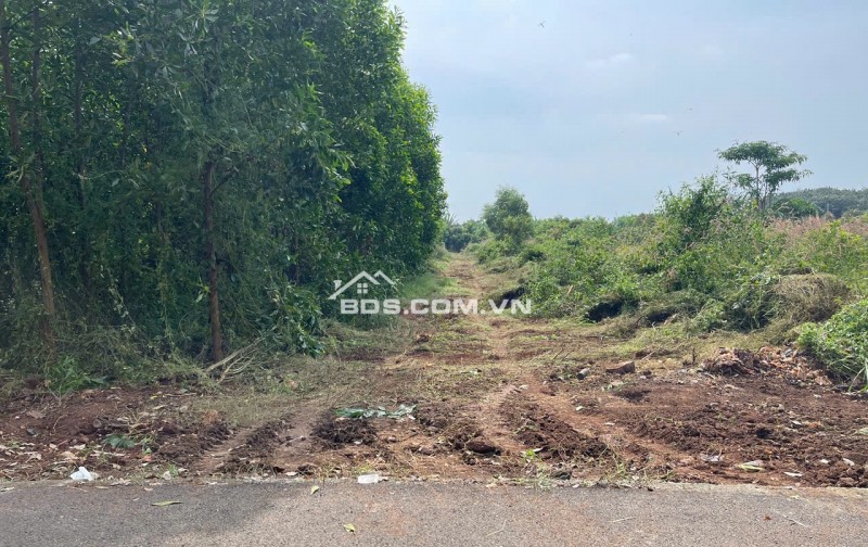 BÁN 7691.5 M² ĐẤT XÃ LONG TÂN, ĐẤT ĐỎ GIÁ 3 TỶ / SÀO. LH:0938677702.