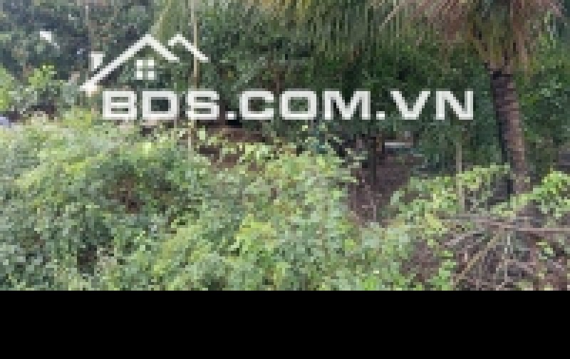 Bán đất thôn Xuân Thọ đường đất 3m,107m² đất ở, ngang 5m, chỉ 410 triệumức giá hiếm khu Xuân Sơn