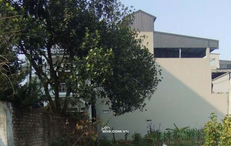 BÁN GẤP ĐẤT THỔ CƯ CẠNH GA METRO CỔNG ĐHQG, GIÁP LEGACY PHÚ CÁT CHỈ 3 TỶ NHỈNH.