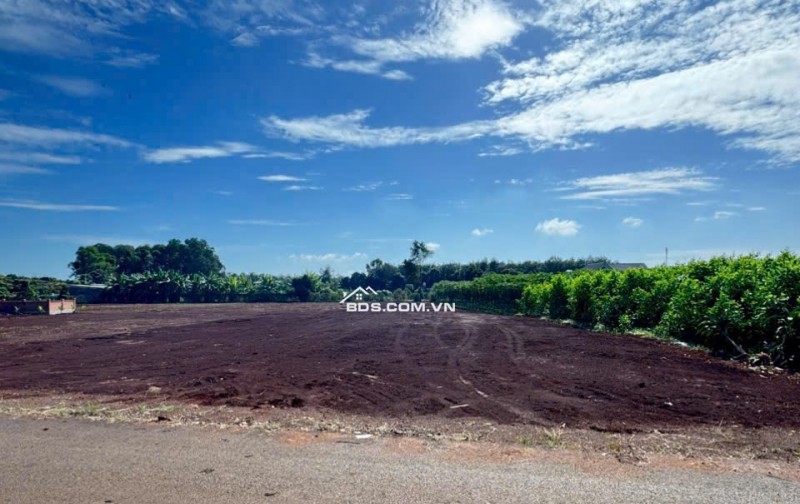 CẦN BÁN LÔ ĐẤT LONG PHƯỚC BRVT – nay thuộc P. TAM LONG, TP.HCM