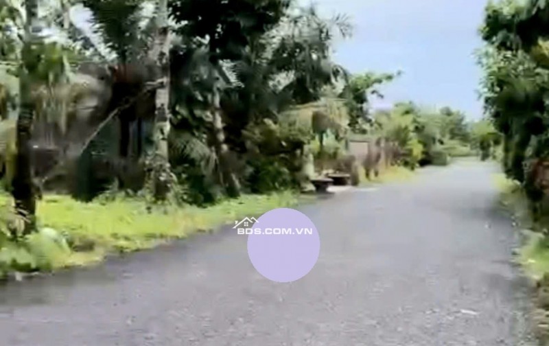 Đất MẶT TIỀN Đường Huyện 87 (đường lò bún). Rộng 180m2. Báo giá Rẻ chỉ 70%.