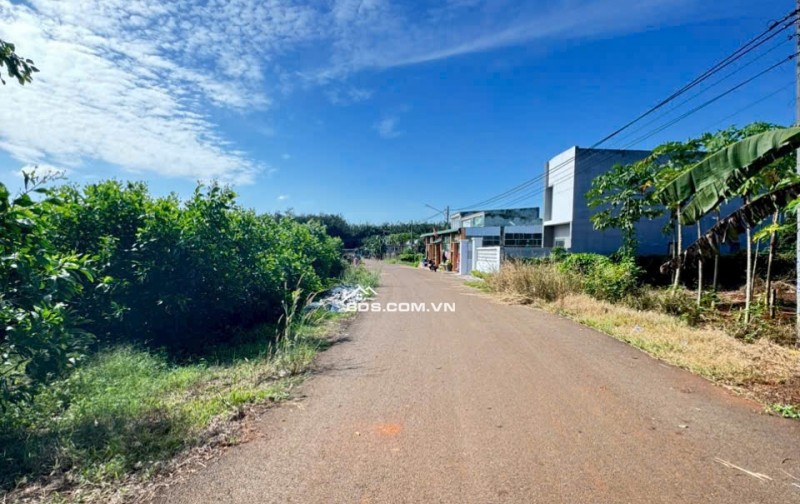 CẦN BÁN LÔ ĐẤT LONG PHƯỚC BRVT – nay thuộc P. TAM LONG, TP.HCM