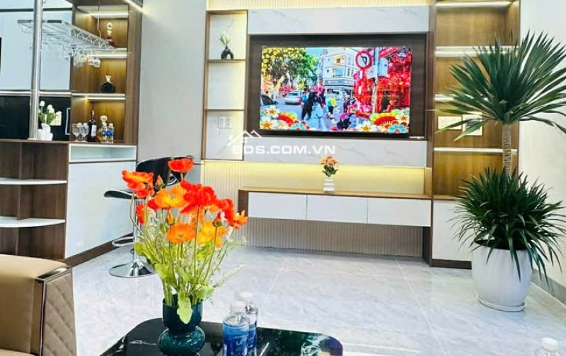 Bán Nhà 3 tầng 3 mê mới 100% kiệt Ô TÔ Trần Đình Tri