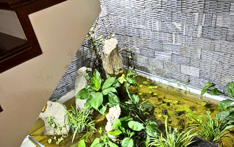 Chính chủ bán gấp nhà liên kề KĐT Phú Lương, Hà Đông sang trọng, gần trục chính, kinh doanh.