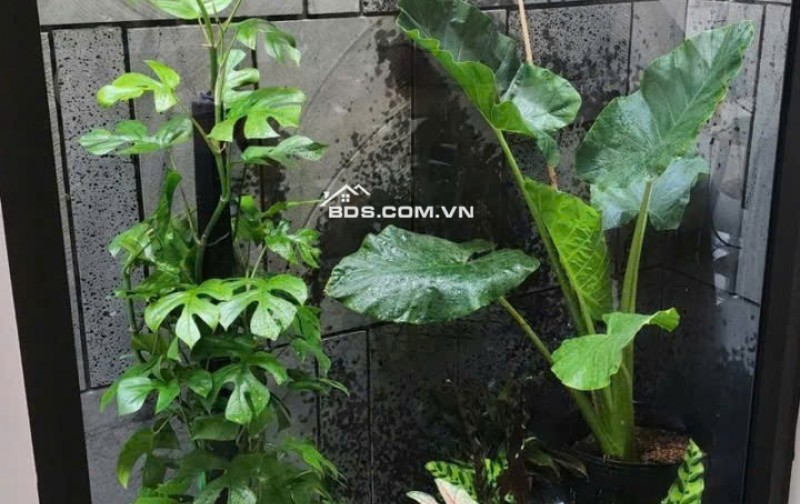 Bán nhà tặng NT vào ở ngay HXH Phan Huy Ích ngang 4m 56m2 gần Emart chỉ 5.8 tỷ.