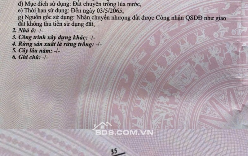 Bán Đất Chính Chủ 2.011m2 Dọc TL 944 Chợ Mới, Xã An Thạnh Trung, An Giang