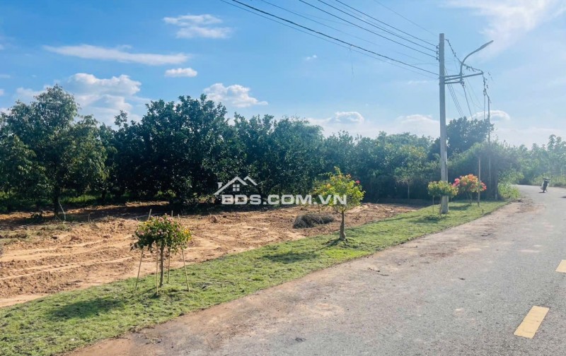 CHỈ VỚI 250TR SỞ HỮU ĐẤT THỔ CƯ NGAY HÔM NAY - TĂNG VƯỜN BƯỞI ĐANG THU HOẠCH