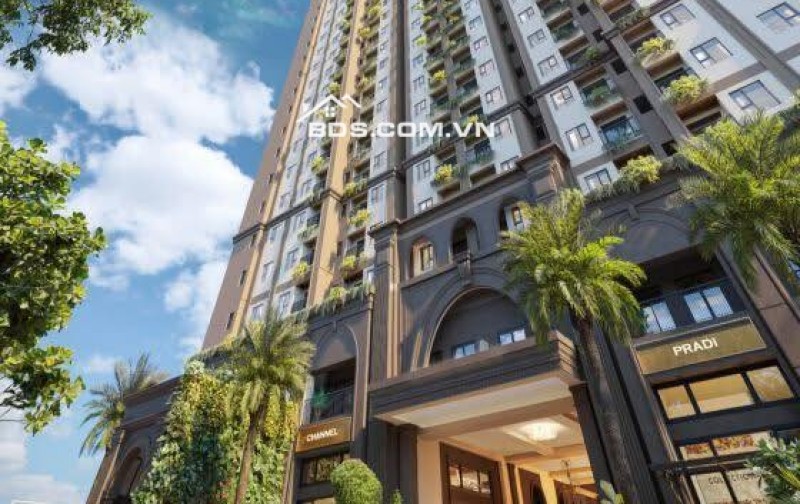 BÁN CĂN SHOPHOUSE RẼ NHẤT THỊ TRƯỜNG, CC MAISON GRAND - TUMYS HOME PHÚ MỸ